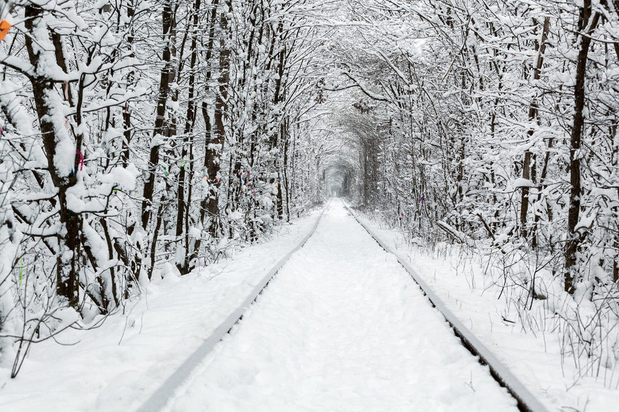 A railway in the winter forest tunnel – Peel and Stick Wall Murals