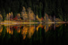 Autumn Reflection On The Lake Wall Mural