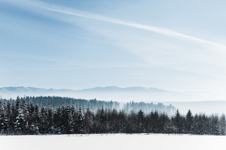 winter landscape with snow-covered field – Peel and Stick Wall Murals