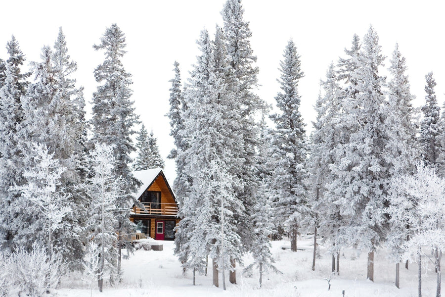 Christmas cottage nestled amidst snow-covered trees in a picturesque winter wonderland – Peel and Stick Wall Murals