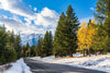 Colorado Mountains Road in the Forest in a Snowy Autumn Wall Mural