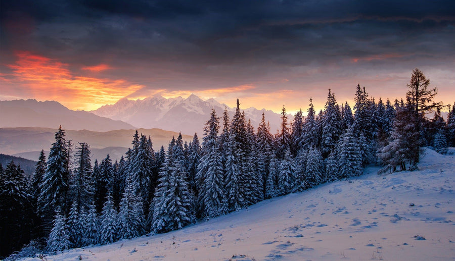 Snowy mountain landscape with trees and snow under a colorful sunset – Peel and Stick Wall Murals