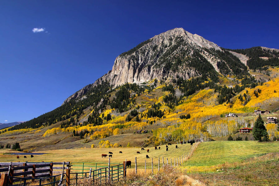 Crested Butte Mountain Over Ranch Wall Mural Wallpaper Mural Deposit Photo Color Original Custom Size