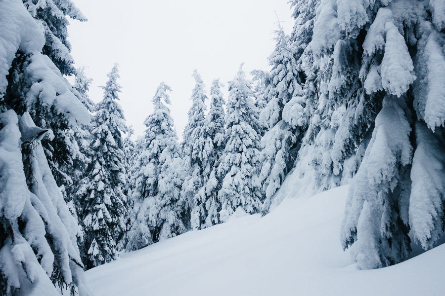 snowy slope in Krivan mountains, High Tatras – Peel and Stick Wall Murals