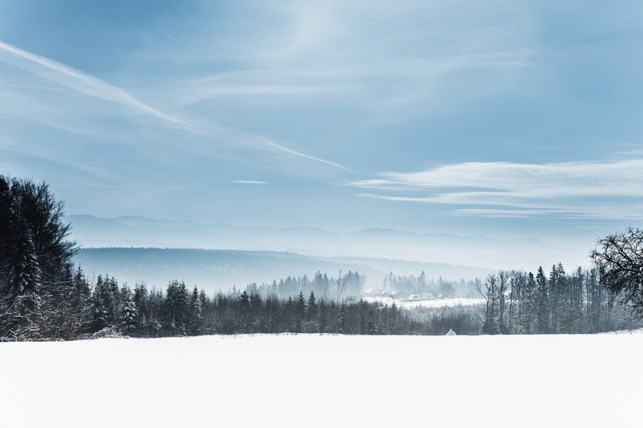 The Snowy White Carpathian Mountains Wall Mural captures a serene winter landscape with snow-covered fields, distant misty hills and mountains under a pale blue sky, and scattered bare trees with evergreens, adding contrast to the scene for a tranquil custom printed mural.