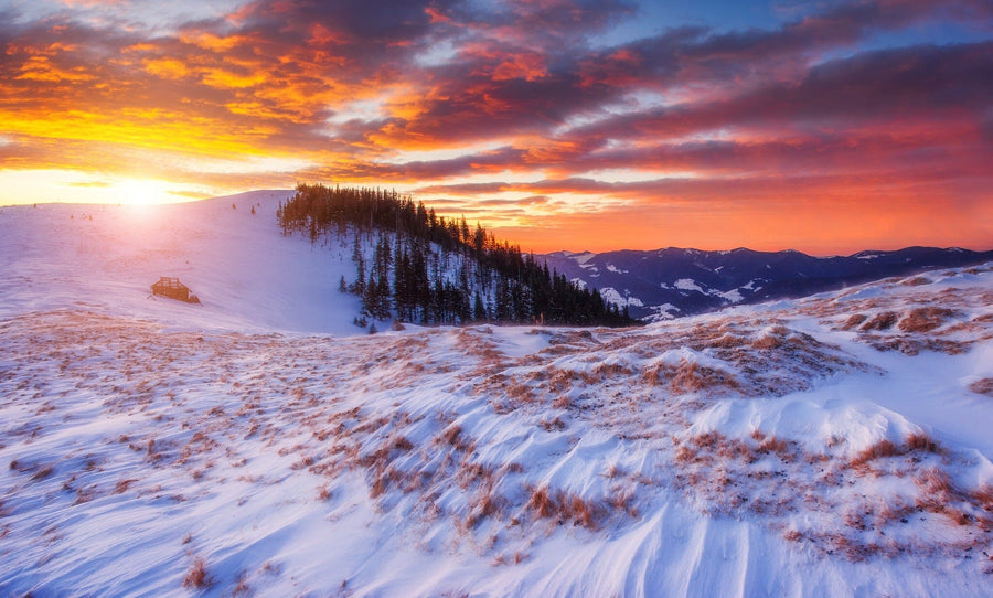 sunset over a snow-covered mountain with majestic winter trees glowing in sunlight – Peel and Stick Wall Murals