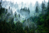 Misty Mountain Way Landscape Wall Mural