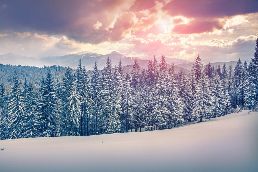 Snowy winter landscape with trees and mountains covered in snow