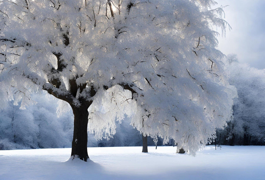 Imagine capturing the serene beauty of a snowy landscape with the "Heavy Snow-Covered Tree Wall Mural." This peel and stick mural features a large snow-laden tree with branches forming a soft canopy, set against more snow-covered trees under a cloudy sky, bringing winter's tranquility to your space.