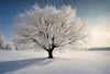 Winter Forest Snow-Covered Tree Wall Mural