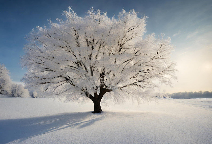 A snow-covered tree stands alone in a vast field – Peel and Stick Wall Murals