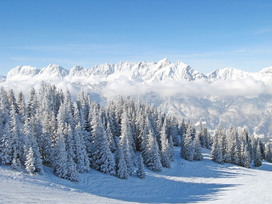 Snow-covered alpine peaks in winter – Peel and Stick Wall Murals