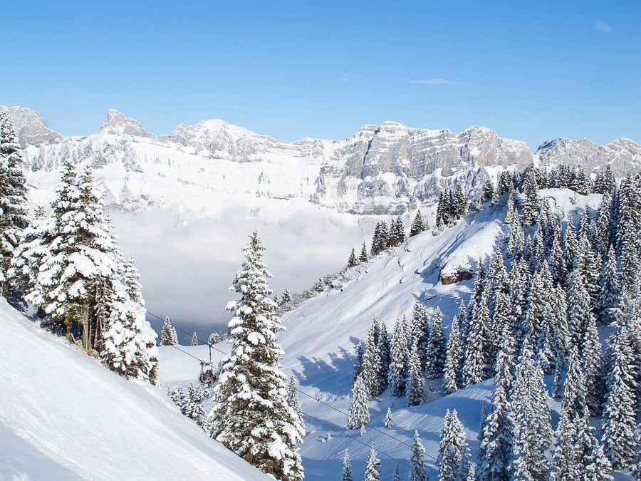 Swiss Alps covered in snow with trees – Peel and Stick Wall Murals