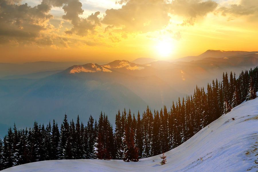 snowy mountain landscape at sunset, with trees silhouetted against the colorful sky – Peel and Stick Wall Murals