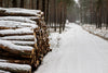 Wooden Prisms Covered with Snow by a Forest Road Wall Mural
