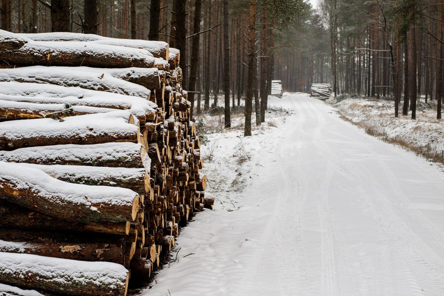 Snow covered road with wooden prisms by a forest – Peel and Stick Wall Murals