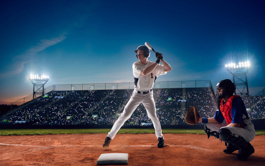 At the Plate Wall Mural