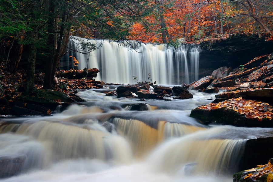 Autumn Waterfalls in Park Wall Mural Peel and stick Wall Mural Deposit Photo Color Original Custom Size