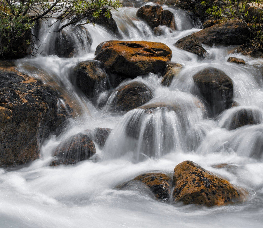 Banff National Park Wall Mural Peel and stick Wall Mural Deposit Photo Color Original Custom Size