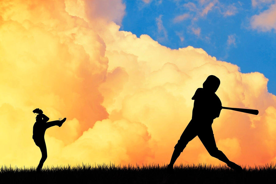 Baseball Silhouettes Wall Mural Peel and stick Wall Mural PASWM Color Original 