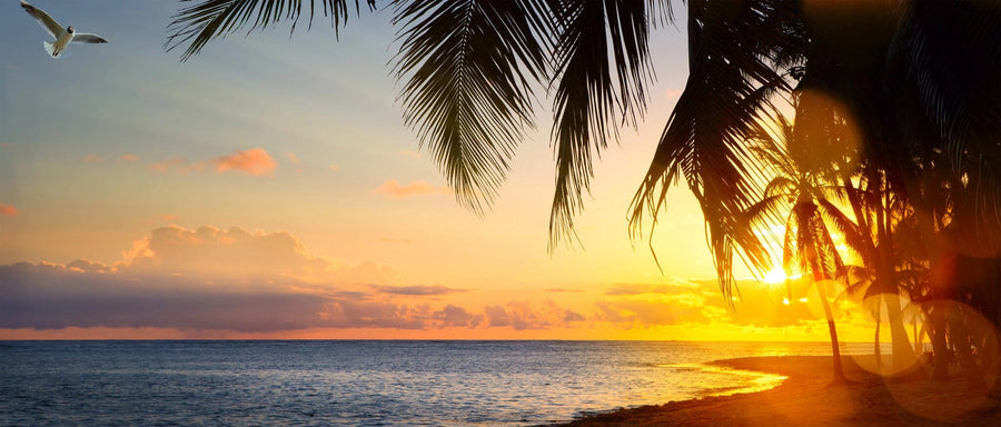 Beautiful Sunrise Over the Tropical Beach Wall Mural Wallpaper Mural Color Original Custom Size