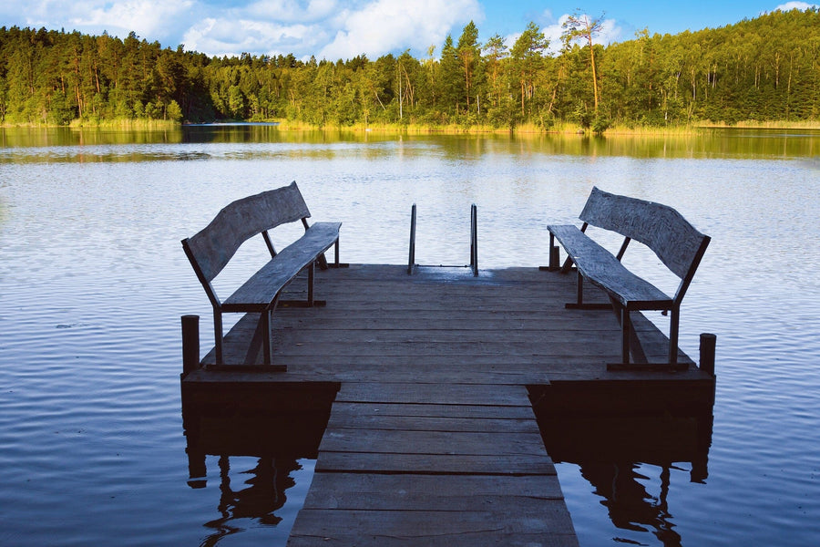 The Pier 3 Wall Mural showcases a serene wooden dock with benches by a calm, tree-lined lake. This removable wallpaper captures reflections on the water, making it perfect for adding nature-inspired tranquility to any space.