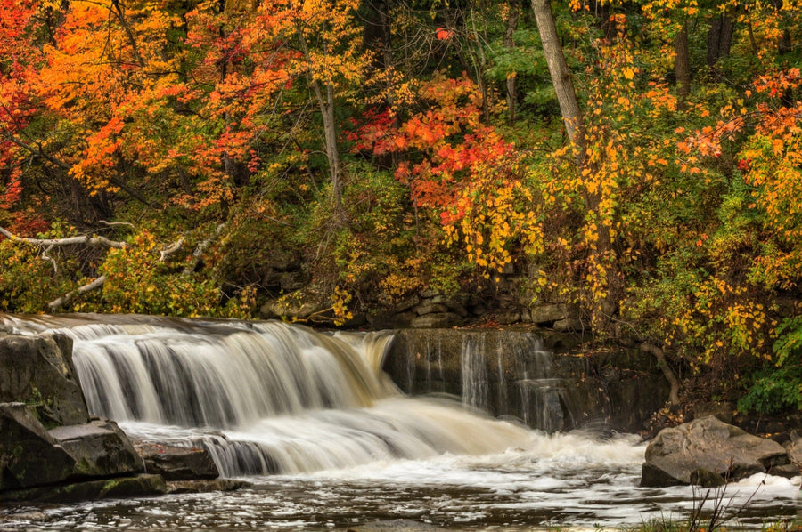 Berea Falls In Autumn Wall Mural - Peel and Stick Wall Murals Peel and stick Wall Mural Deposit Photo Color Original Custom Size