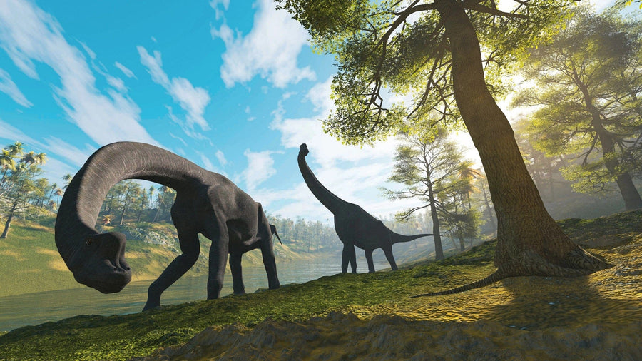 Bring ancient landscapes to your space with the Dawn of the Dinosaurs Wall Mural. This peel and stick, removable wallpaper features two large dinosaurs roaming a sunlit prehistoric forest near a river. Easy to apply and perfect for any room.