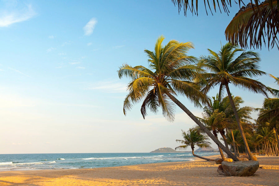 The "Exotic Lonely Beach Wall Mural" depicts a serene tropical paradise with a sandy beach, gently leaning palm trees on the left, and calm ocean waves approaching from the right under a clear blue sky with distant hills. Perfect for bringing tranquility to your space.