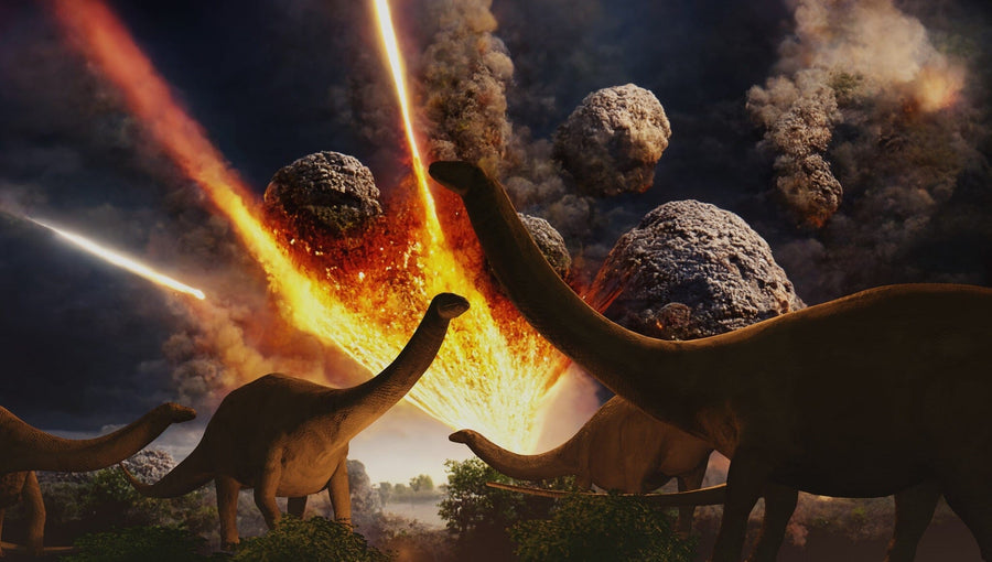 Long-necked dinosaurs stand beneath blazing meteors in the dramatic Extinction Level Event Wall Mural—an eye-catching peel and stick design that brings prehistoric excitement to any space.