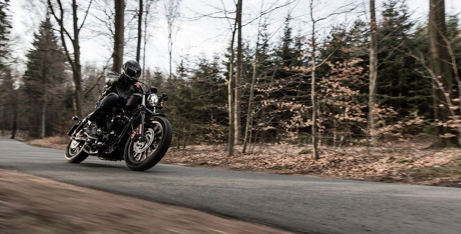 A rider in black gear races a motorcycle on a forest road, reminiscent of the excitement captured in the "Forest Motorcycle Ride Wall Mural" by Deposit Photo. Leafless trees and brown leaves blur by, conveying an exhilarating sense of motion and adventure.