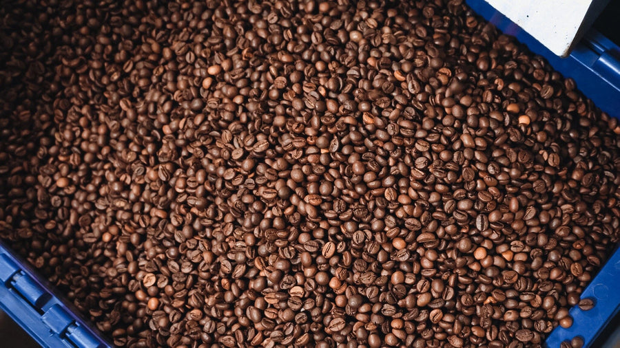 The Fresh Roasted Beans Wall Mural features a large blue container brimming with rich, dark roasted coffee beans—perfect for adding a cozy café vibe to your space.