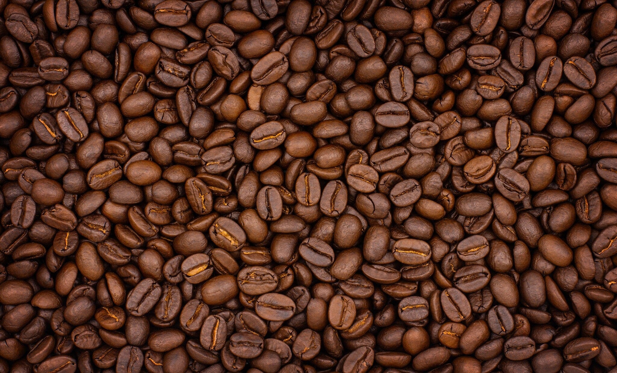 Fresh Whole Beans Wall Mural - PASWM