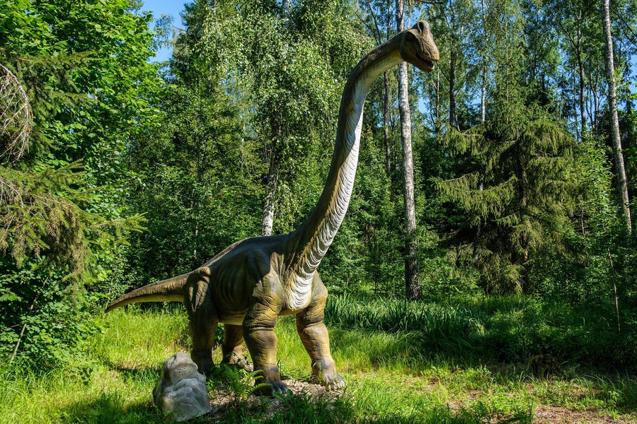 The Giant of the Green Forest Wall Mural features a lifelike, long-necked dinosaur in a sunlit clearing—ideal for custom printed or peel and stick designs to bring an outdoor feel to any room.