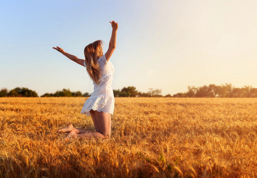 A woman in a white dress kneels joyfully with arms raised in a wheat field under the clear blue sky, reminiscent of the "Golden Field Bliss Wall Mural." Her cascading hair is highlighted by the warm sun against vibrant wheat and serene trees in the background.