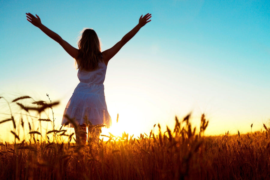 A silhouetted woman in a white dress, arms raised, faces the sunrise in a wheat field, evoking the tranquility of the Inspirational 5 Wall Mural. The golden wheat against the warm hue sky creates a serene and uplifting atmosphere.