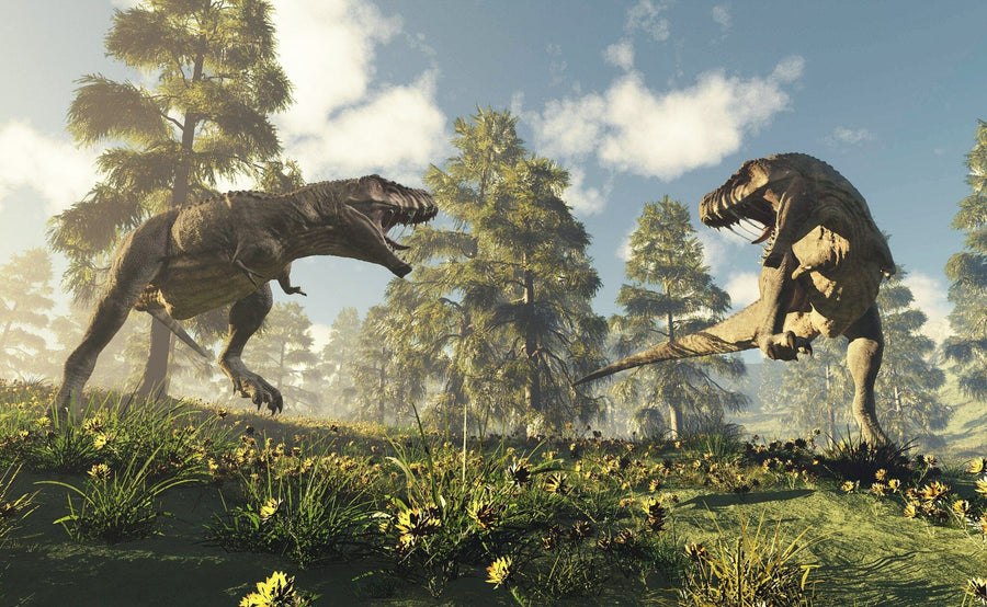 Two large dinosaurs face off with jaws open in the dramatic "Dino 2 Wall Mural," perfect for peel and stick or custom murals to add prehistoric excitement to any room.