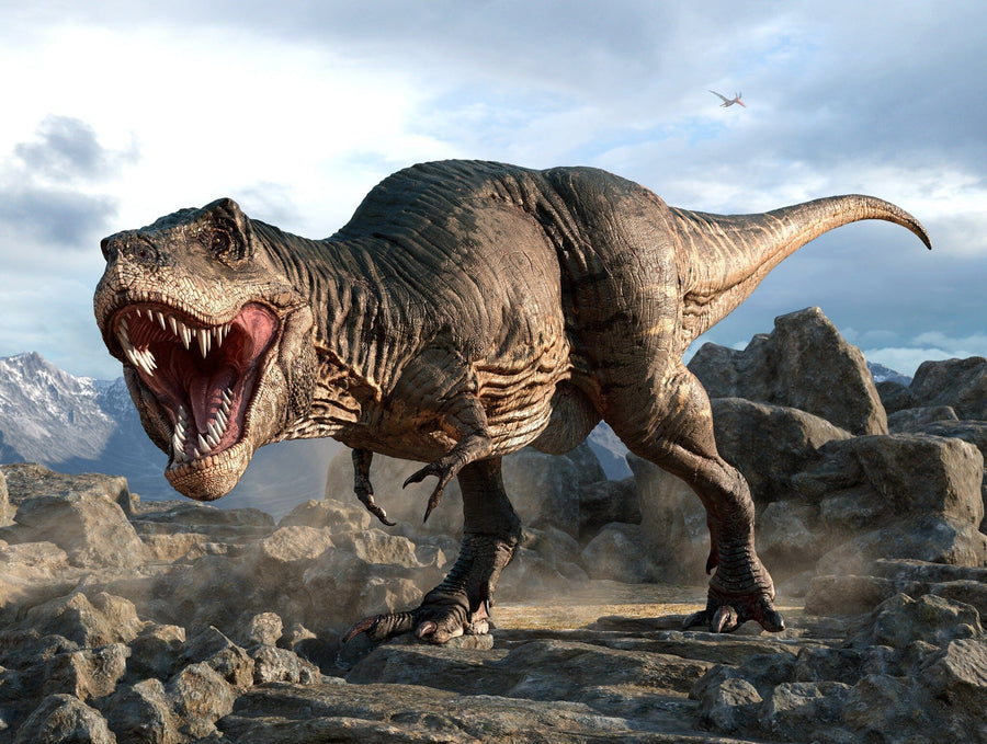The Jurassic Predator Roars Wall Mural features a fierce Tyrannosaurus rex with open jaws on rocky terrain, set against cloudy skies and distant mountains, creating a dramatic custom printed or removable wallpaper.