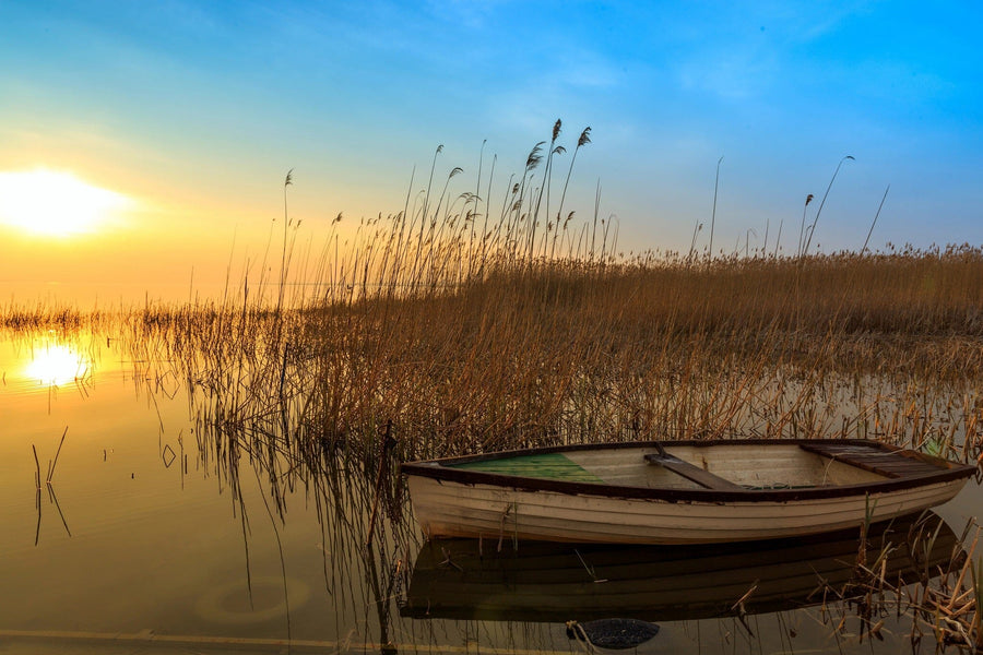 Explore tranquility with the Lake Balaton Wall Mural, featuring a serene sunset over a lake with a rowboat near tall reeds. The sky shifts from blue to warm orange, casting reflections on the calm water and a golden glow as the sun sets on the horizon.