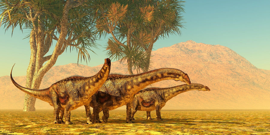 Three large, long-necked dinosaurs roam a grassy plain near palm-like trees. Transform your space with the Dino 6 Wall Mural—peel and stick for easy application and removal, bringing this prehistoric scene to life in minutes.