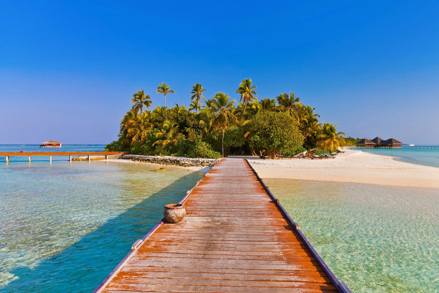 A wooden boardwalk leads over turquoise waters to a lush island with palm trees and sandy beaches, similar to the Maldives Wall Mural by Photo. Overwater bungalows stand under the clear blue sky, and a potted plant rests on the boardwalk.