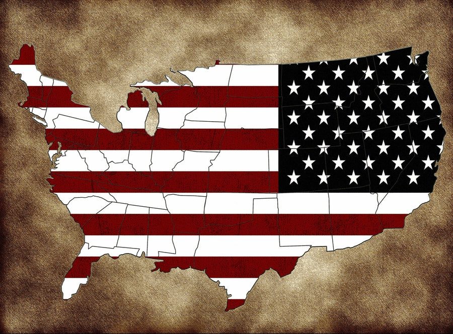 Map of United States Peel and Stick Wall Mural Peel and stick Wall Mural photo Color Original Custom Size