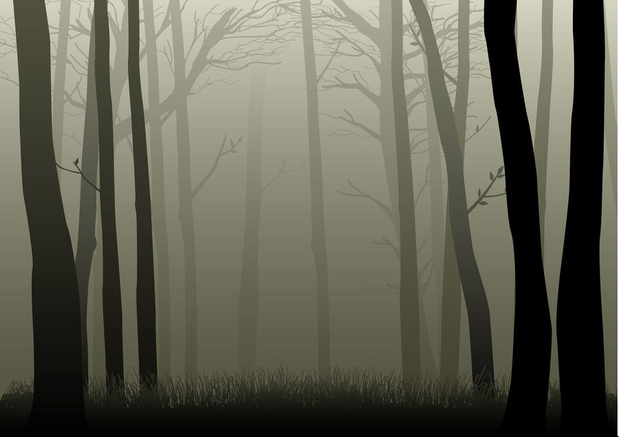 Misty Woods Wall Mural Wallpaper Mural Photo Color Original Custom Size