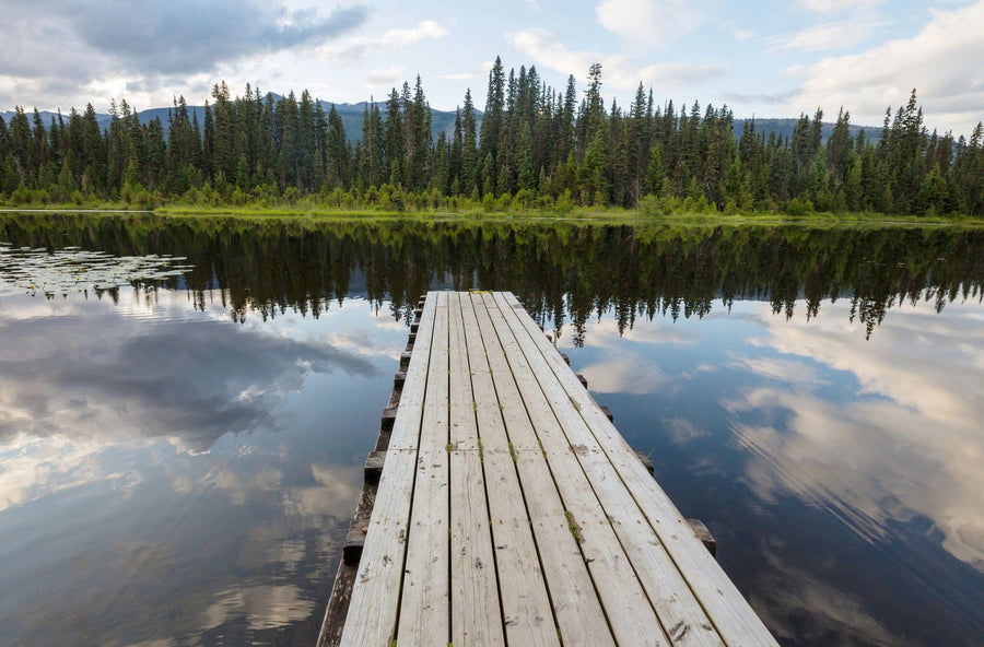 Mountain Lake in Canada Wall Mural Peel and stick Wall Mural photo Color Original Custom Size