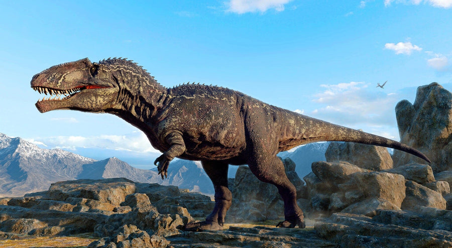 The Mountain Valley Dinosaur Wall Mural features a lifelike Tyrannosaurus rex with textured skin among rocky terrain, while a pterosaur soars in the blue sky—perfect for peel and stick decor.