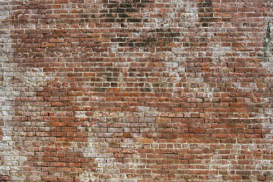 Old Brick Wall Wall Mural