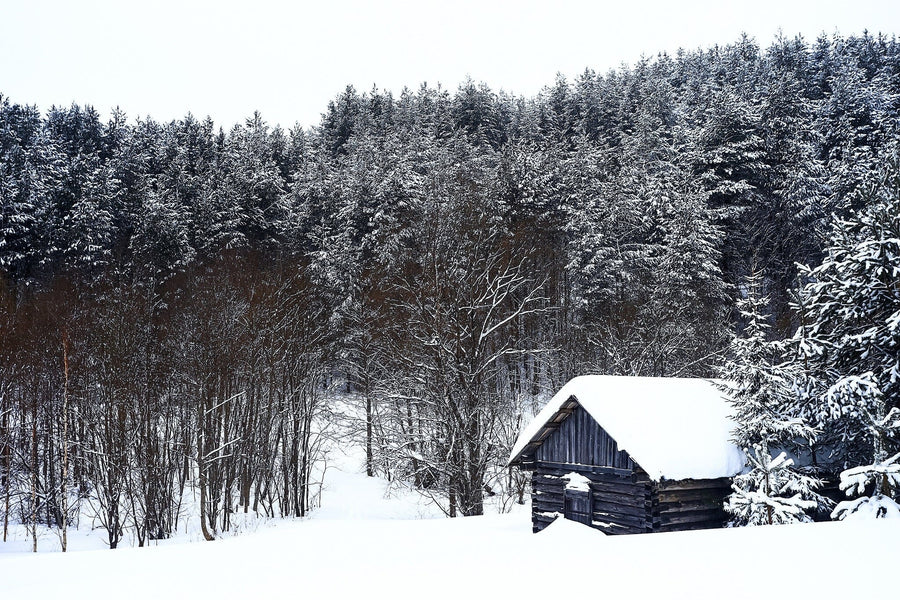 Old cabin in the winter forest – Peel and Stick Wall Murals