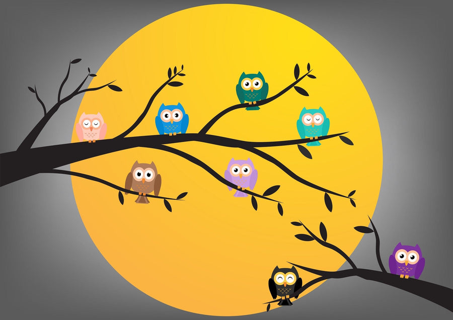 The "Owls Under Full Moon" wall mural by Deposit Photo depicts colorful cartoon owls on tree branches against a yellow moon and gray background. With vibrant green, blue, pink, brown, and purple shades, this peel-and-stick mural is ideal for an easy decor transformation.