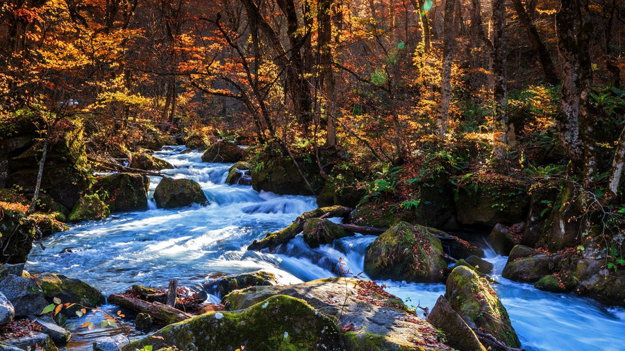 Picturesque Mountain Stream Wall Mural Peel and stick Wall Mural Deposit Photo Color Original Custom Size