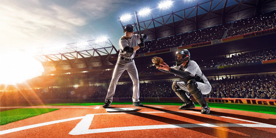 Baseball player on a grand arena – Peel and Stick Wall Murals